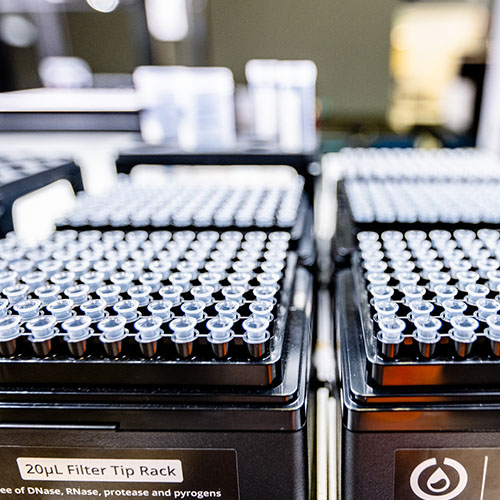 Trays of pipette tips waiting to be picked up by robotic arm